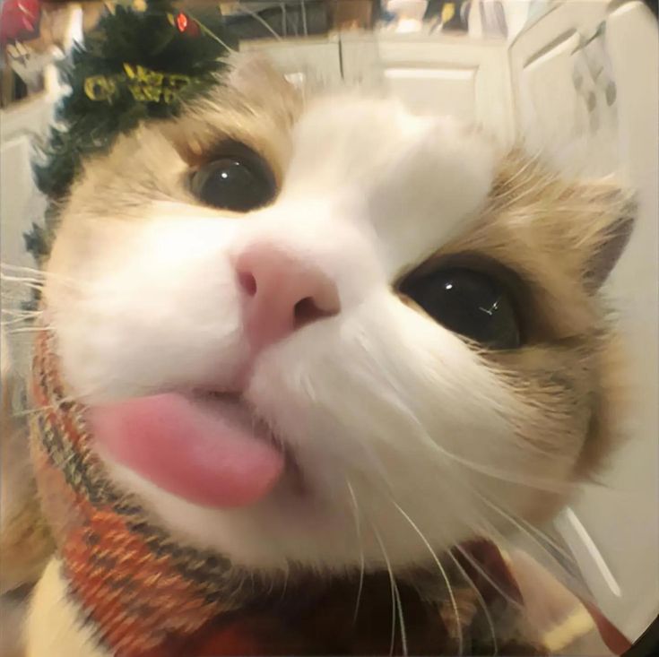 SLOT88KU | Perfoma Stabil Game Online Versi Terbaru Fitur RTP Tinggi 2026